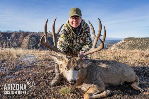 3919dfe5-381c-4e2b-aa4f-53e3d2dbf442-copy